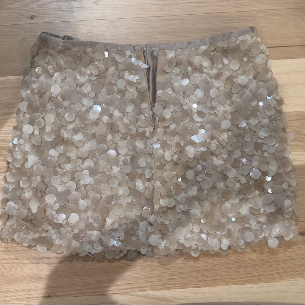 Zara Champagne Sequin Mini Skirt - Picture 4 of 8